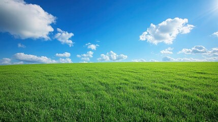 Beautiful natural scenic panorama green field of cut grass into and blue sky with clouds on horizon. Perfect green lawn on summer sunny day with generative ai