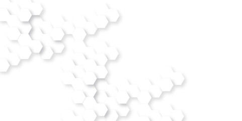 Background with white lines hexagon. Abstract vector polygonal pattern background with hexagon. White hexagon light and shadow abstract background. Futuristic abstract honeycomb technology background.