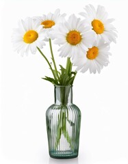 Beautiful white daisy bouquet in a vase, a symbol of spring and nature's beauty