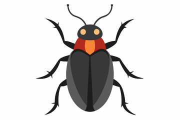 Fototapeta premium A Beetle on a white background