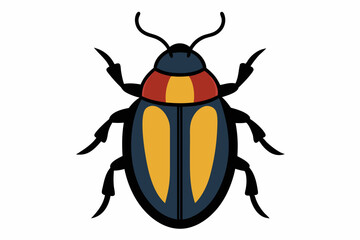 A Beetle on a white background