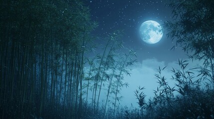 A Full Moon Illuminates a Dense Bamboo Forest at Night