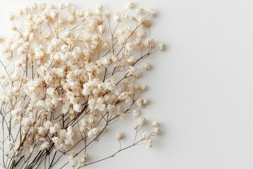 Elegant dried floral background created with Generative AI