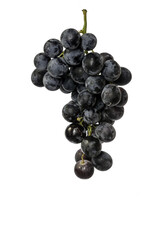 Fototapeta premium bunch of grapes