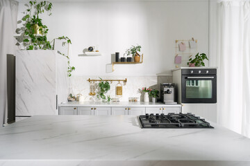 A modern kitchen with plants, bright lighting, and a marble countertop in a stylish home setting