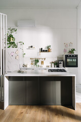 Modern kitchen with minimalist design, greenery, natural light, and sleek appliances in a bright, airy space