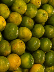 Close-up shot of fresh oranges in a Supermarket