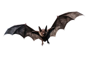 Fototapeta premium A Halloween bat in mid-flight with its wings fully extended, white background