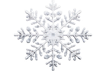 A large snowflake with delicate branches and symmetrical features, isolated on white background