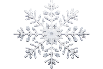 A large snowflake with delicate branches and symmetrical features, isolated on white background