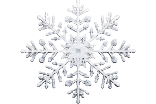 A large snowflake with delicate branches and symmetrical features, isolated on white background
