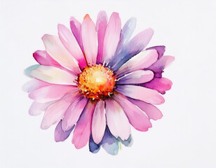 Obraz premium Watercolor Illustration of a Pink Daisy Flower Detailed Artistic Floral Design and Botanical Art