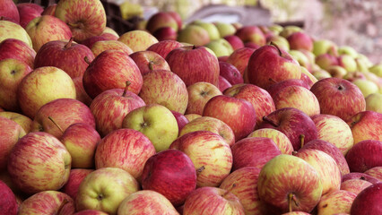 Red apples are piled in a fruit shop