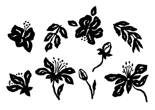 Set of abstract inky jungle flowers sketches isolated on white. Black silhouettes of hand drawn doodle florals. Botanical monochrome illustrations bundle