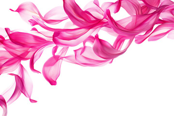 Abstract Pink Silk Petals Swirling Dance on White
