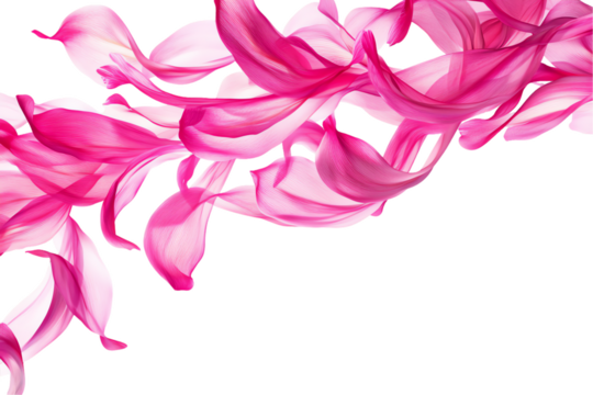 Abstract Pink Silk Petals Swirling Dance on White