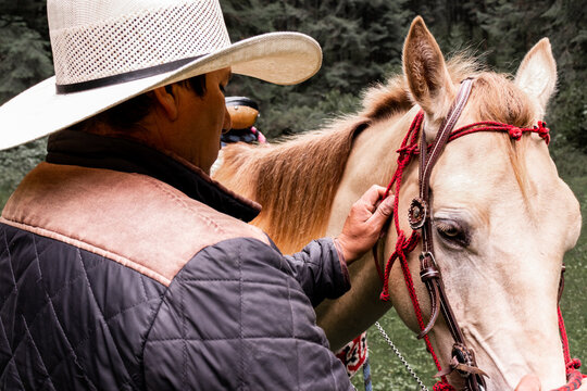 Man adjusting horse&acirc;&euro;&trade;s bridle in La Marquesa, Mexico
