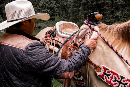 Man adjusting horse&rsquo;s bridle in La Marquesa, Mexico