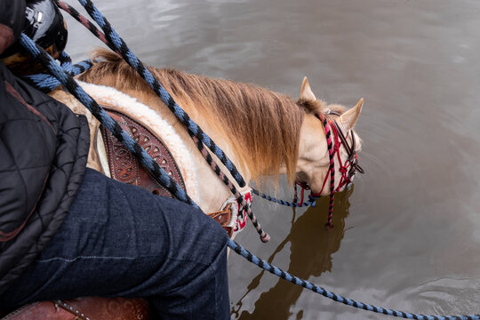 Horseback Riding in La Marquesa National Park, Toluca, Mexico
