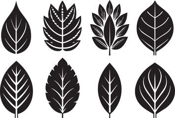 Set leaf. Hand drawn vector illustration	