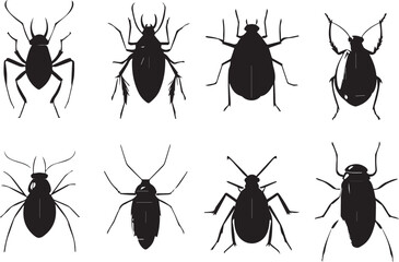 Set bugs. Hand drawn vector illustration	