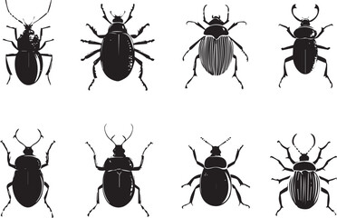 Set bugs. Hand drawn vector illustration