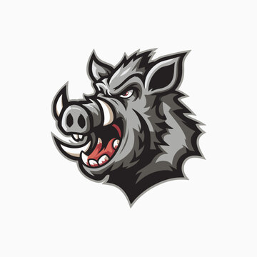 recommend clip art: Wild boar design illustration logo