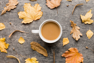 Cup of cocoa with autumn leaves abstract still life top view vith copy space