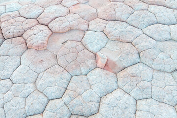 Abstract patterns of stone at White Pocket, Arizona