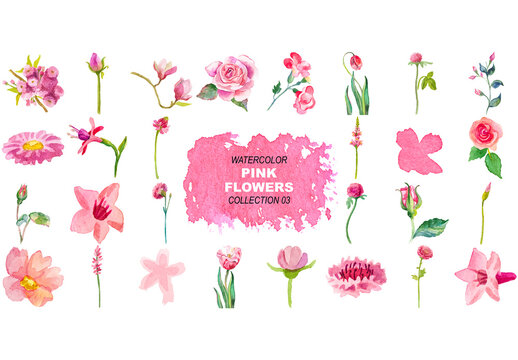 Vector watercolor painted pink flowers clipart. Hand drawn elements isolated on white background