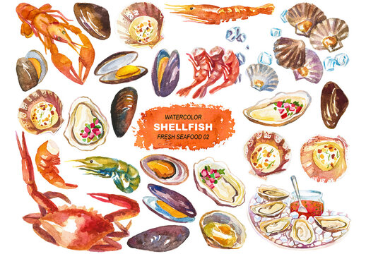 Vector watercolor painted shellfish clipart. Hand drawn elements isolated on white background.
