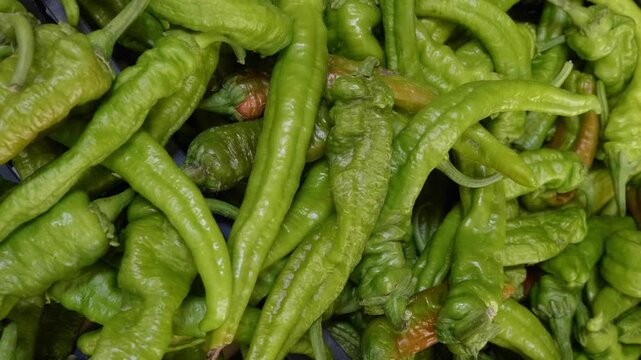 Frigitelli peppers at a southern Italian market