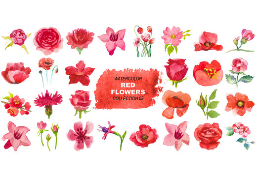 Vector watercolor painted red flowers clipart Hand drawn elements isolated on white background