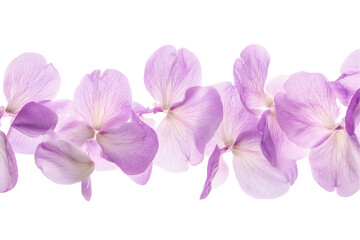 Obraz premium Floating Lavender Petals Seamless Border