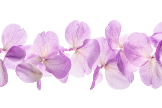 Floating Lavender Petals Seamless Border