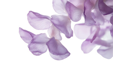 Lilac Petals Cascade: Soft Lavender Floral Background