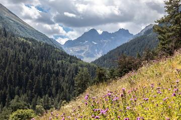 Way through forests to azgek lakes
