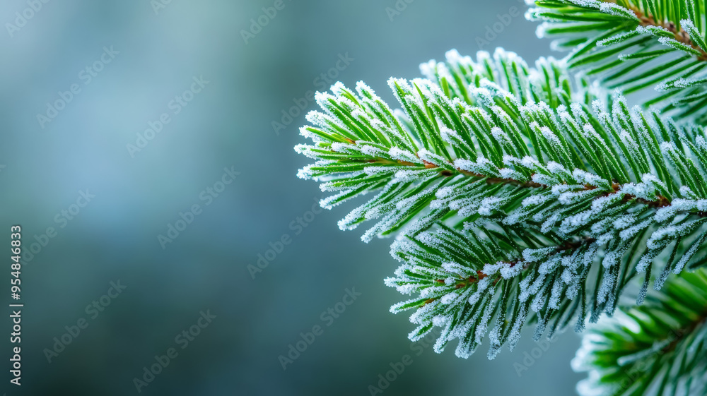 Poster macro shot of pine needles covered in frost with soft bokeh background