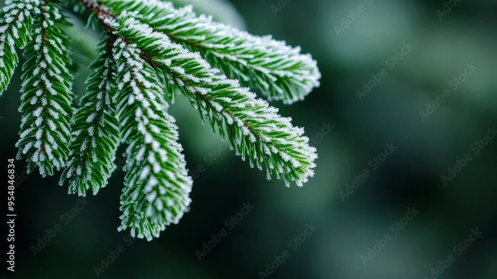 Aufkleber macro shot of pine needles covered in frost with soft bokeh background