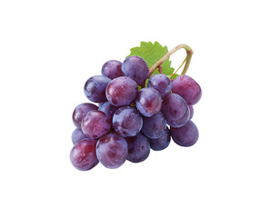 Fototapeta premium Bunch of fresh purple grapes with dewdrops isolated on transparent background