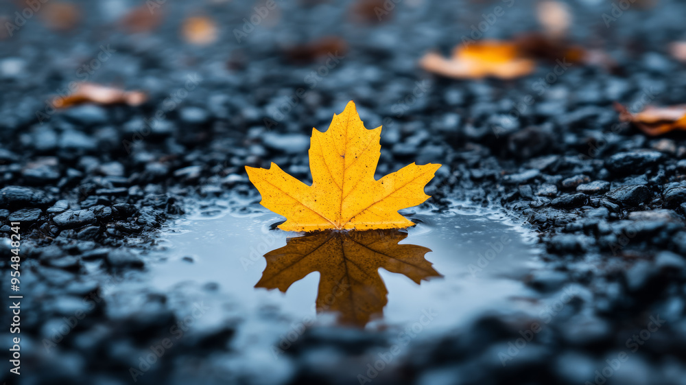 Poster magnified view of ice forming around a leaf submerged in a puddle