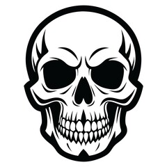 Fototapeta premium Skull