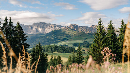Fototapeta premium Italy | Alpes | Dolomitis | Ortisei | Siusi | Seceda | Funes