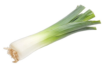 Fototapeta premium Fresh green spring onion with a crisp texture and vibrant color, perfect for culinary uses and enhancing various dishes.