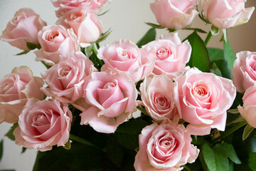 スイートアバランチェ