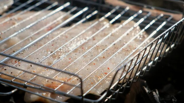 White pollock fish with spices grilling on metal grid on bonfire in nature camping. Cooking preparing frying fresh healthy food. Frying fish on hot coals. Cook cuisine on picnic, bbq barbeque.
