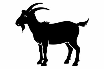 goat silhouette, dairy goat vector silhouette, baby goat silhouette