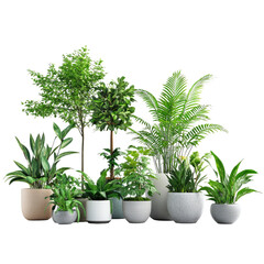 Obraz premium Houseplants on transparent background