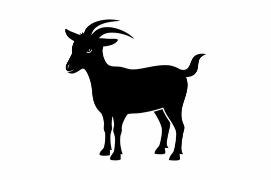 recommend clip art: goat silhouette, dairy goat vector silhouette, baby goat silhouette