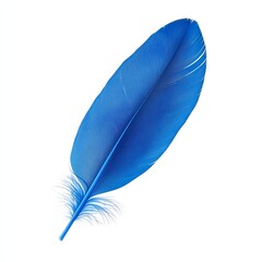 A single feather with a vibrant blue color, isolated on white